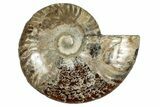 Cut & Polished Ammonite Fossil (Half) - Deep Crystal Pockets #344405-1